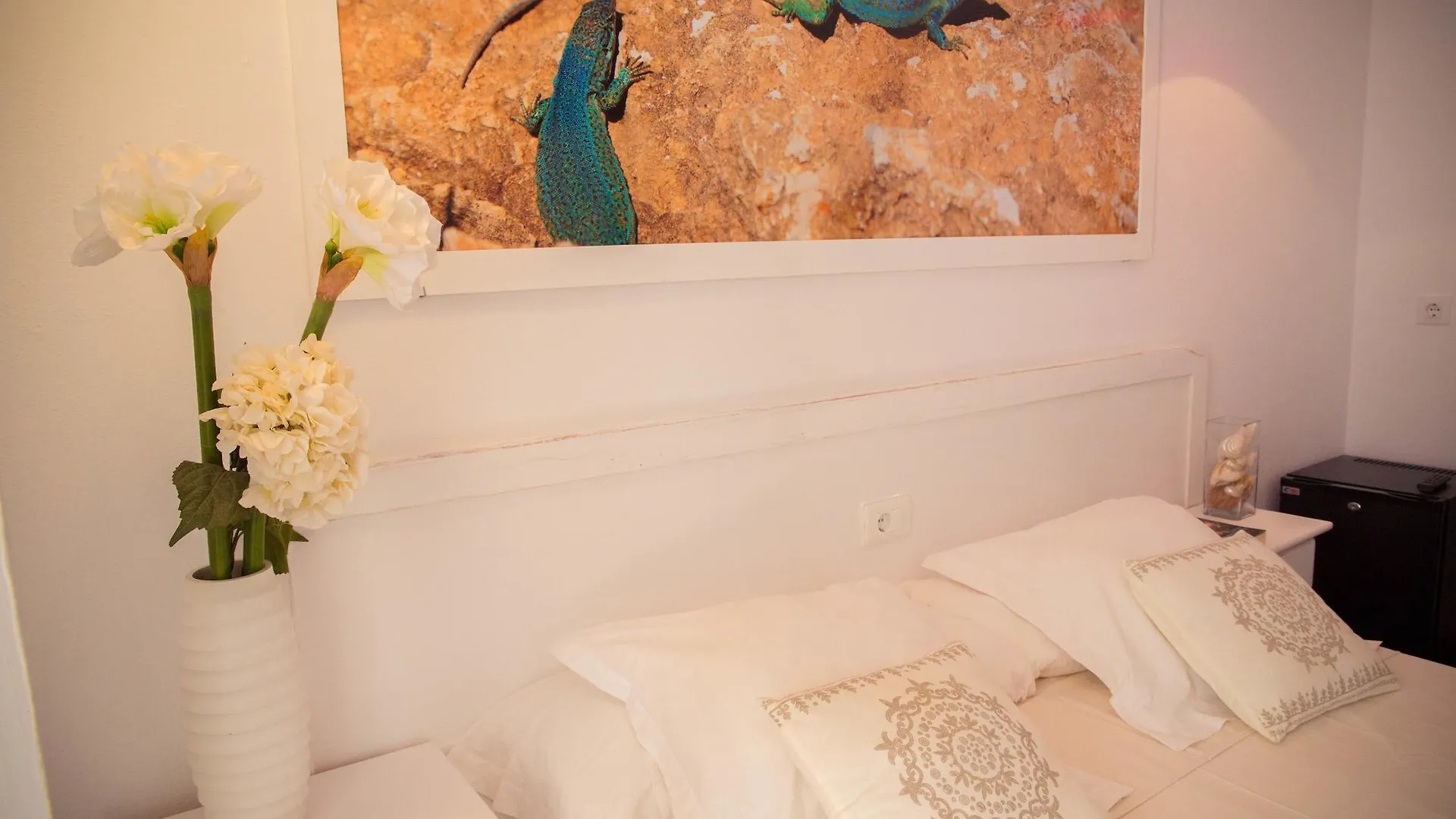 Guest house Hostal Sunset Ibiza San Antonio